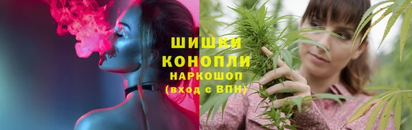 крисы Абаза