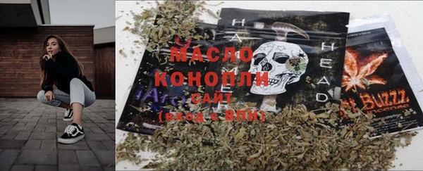 крисы Абаза
