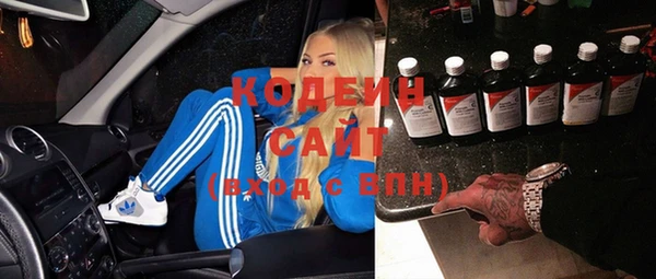крисы Абаза