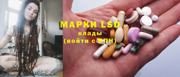 стафф Осинники