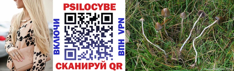 hydra ТОР  Иноземцево  Псилоцибиновые грибы мухоморы 